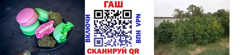 Canna-Cookies конопля  Черняховск 
