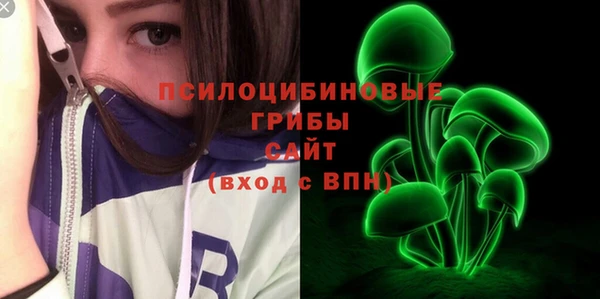 а пвп мука Медвежьегорск