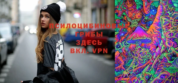 ГАЛЛЮЦИНОГЕННЫЕ ГРИБЫ Магас