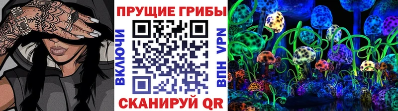 Псилоцибиновые грибы мицелий  OMG вход  Черняховск 