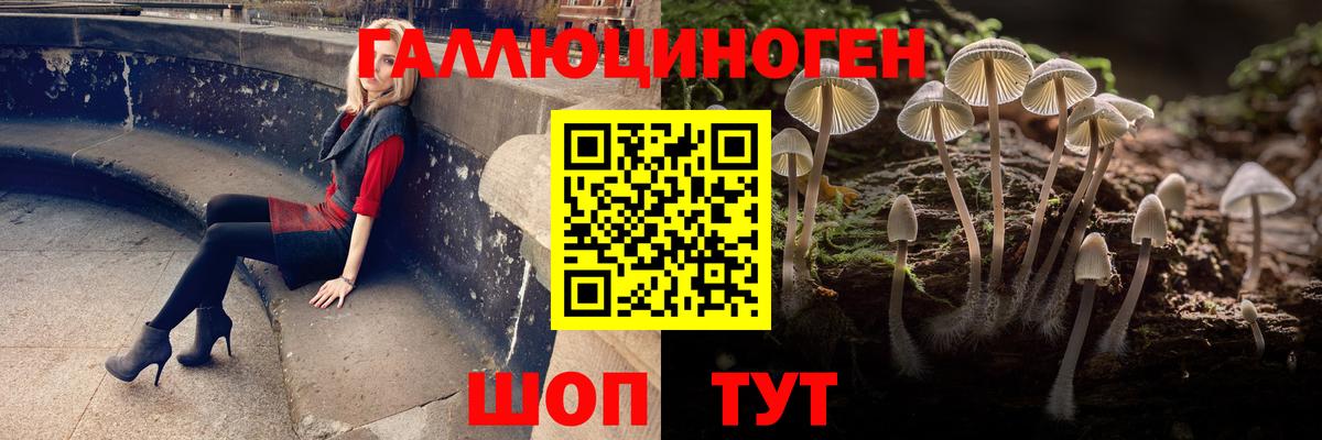 Галлюциногенные грибы MAGIC MUSHROOMS  Черняховск 