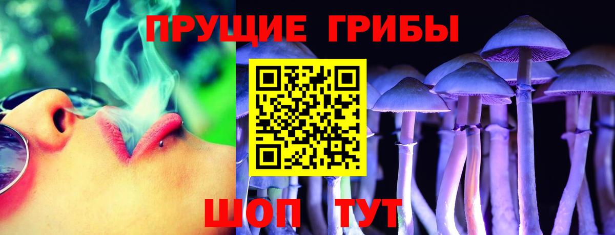 Галлюциногенные грибы Magic Shrooms  Вход с VPN  Черняховск 